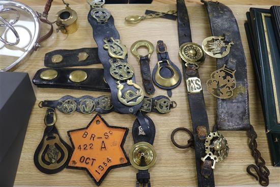 A small collection of horse brasses and martingale straps